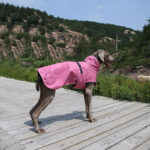 Pet Shell Jacket Dog Winter Outdoors Ski Suit - Image 10