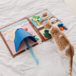 Pet Cat Travel Diary Sniffing Toy - Image 3