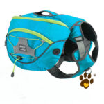 Pet self backpack - Image 3