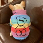 Pet Clothes Fighting Pug Schnauzer Teddy - Image 2