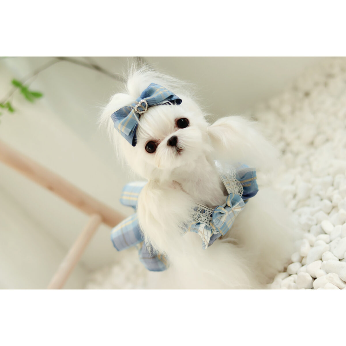 Small Body Blue JK Plaid College Style Cute Suspender Skirt - Image 5