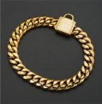 Pet dog collar stainless steel titanium steel gold encryption chain buckle dog chain - Image 4
