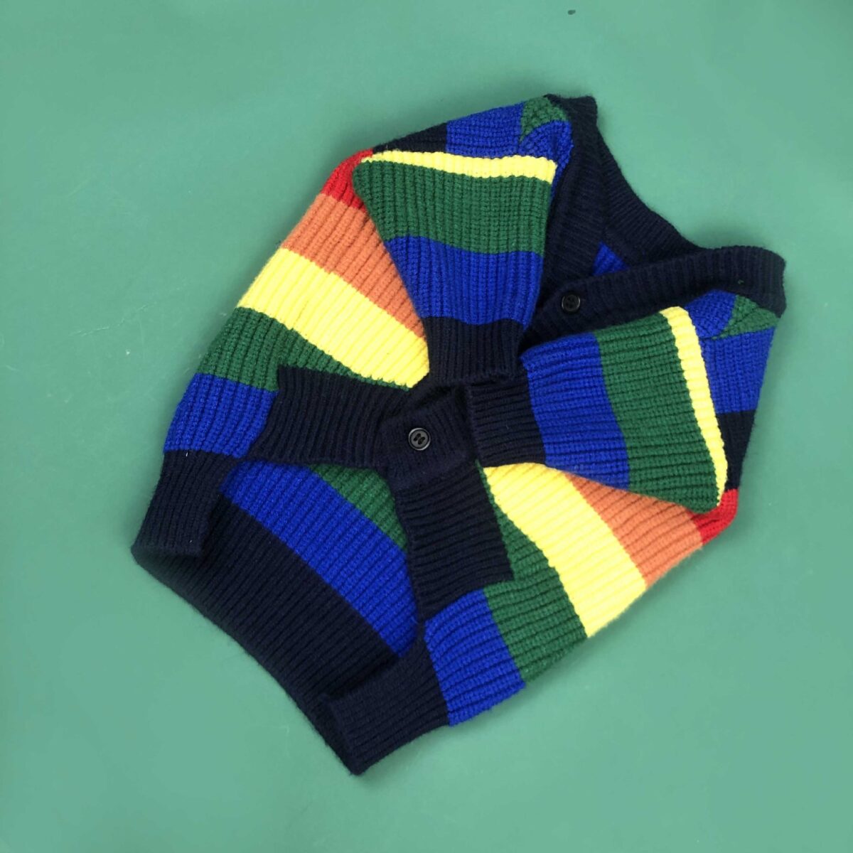 Dog Rainbow Striped Cardigan - Image 1