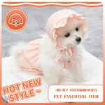 Dog Clothes Set Orange Pet Jumpsuit With Hat Fashionable Outfit For Puppy Summer Outdoor Clothing Pet Cat Yorkies Chihuahua - Image 7