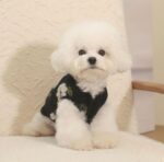 New Warm Lamb Wool Flower Dog Sweater - Image 5
