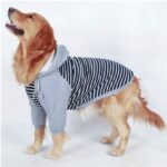 Big dog clothes in autumn and winter - Image 2