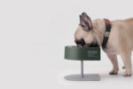 Pet cat and dog camping bowl - Image 4