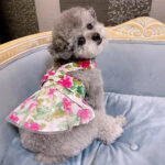 Cotton Ultra-thin Fashion Teddy Hair Bucket Universal Lady's Ultra-thin Princess Cat And Dog Skirt - Image 4