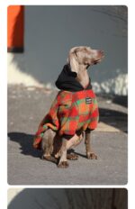 Thick And Warm Clothing For Large Dogs - Image 4