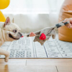 Dog Plush Self Relieving Teddy Bear Toy Grinding Teeth Interactive Solitude Hiding Food Toy Small Dogs Supplies Accessories - Image 3