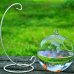 Hanging Glass Vase Fish Tank - Image 5
