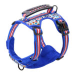 Small Medium And Large Dog Pet Leash Chest Harness - Image 4