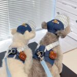 Spring And Autumn Pet's Chest-back Hand Holding Rope Dog Cat Clothes - Image 2