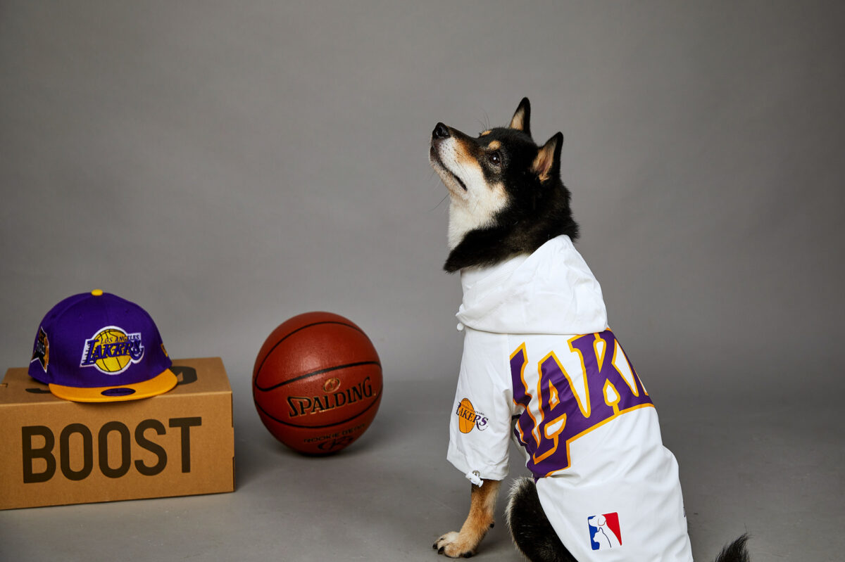 Polyester Pet Shell Jacket - Image 5