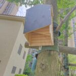 Wooden Bat Nest Hanging Outdoor Garden Eaves Bat Habitat - Image 6