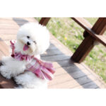 Ins College Style JK  Plaid Bow Tie Skirt Dress - Image 5