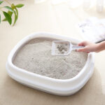 Pet Toilet Cat Litter Box with Scoop High Quality Anti-Splash Dog Plastic Toilet - Image 7