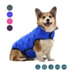 Dog Clothes Autumn And Winter New Cotton Clothing - Image 6