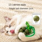 Creative New Catnip Toys, Peppermint Grape Skewers, Cat Sticks, Teething And Bite Resistant Gall Fruit Cat Toys - Image 5