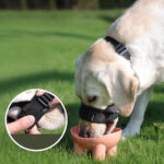 Dog Muzzle Adjustable Anti-bite Anti-barking Dog Muzzle Thickened Soft Foam Anti-feeding Dog Muzzle - Image 5