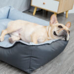 Dogs Bed Summer Pet Bed Soft Dog House New Nest With Removable Cover Small Medium Bed Dog Mattress Cat Cave Soft Pet Bed - Image 4