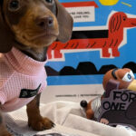 Pet Fashion Waffle Pure Cotton Vest - Image 2