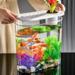 Acrylic Transparent Ecological Incubator Goldfish Tank - Image 4