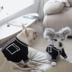 Dog Clothes Warm Small Country Style Sweater - Image 2