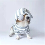 Pet clothing striped sweater - Image 5