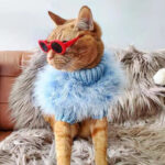 Pet Autumn And Winter Round Neck Sweater - Image 10