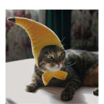Creative design banana pet hat - Image 4