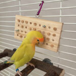 Parrot Toys Training Decompression Hanging Solid Wood Keyboard Toy - Image 10