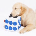 Color dice doll training to play and sniff pets - Image 4