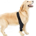Pet Joint Protector Fracture Disability Fixed Knee Pad Leg Auxiliary Strap Dog Postoperative Protective Cover - Image 5