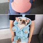 Bathing Supplies Quick Drying Absorbent Towel Pet Bathrobe - Image 6