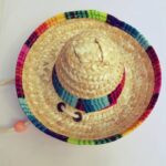 Pet Supplies Straw Woven Mini Pet Dog Straw Hat Pet Mexican Straw Hat Pet Cat Sun Hat - Image 2