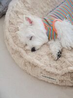 Little Rabbit Velvet Cloud Nest Deep Sleeping Dog - Image 3