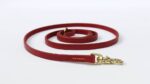 Cowhide Chain Teddy Gold Hair DeMu Competition Elastic Band - Image 3