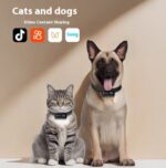 Wifi Camera Neckband Camera Wireless Recorder - Image 2