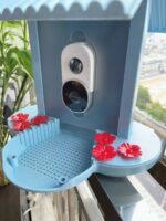 Intelligent Feeder 160 Degree Wide Angle AI Identify Birds - Image 3