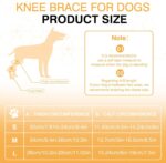 Leg Protector For Dogs Knee Brace Auxiliary Belt Joint Protection Pet Supplies Great Deal - Image 4