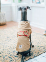 All Cotton Convenient Pet Dog Clothing Overcoat - Image 6