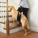 Portable Dog Sling For Hind Legs And Buttocks To Help Lift The Back For Canine Assisted Old Cruciate Ligament Rehabilitation - Image 4