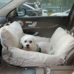Linen Car Safety Seat Front Dog Bed - Image 2