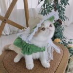 Maid Clothes Lolita Dog Suit Cat Hat - Image 4