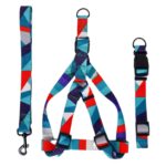Hand Holding Rope Outing Dog Leash Dog Collar Three-piece Set - Image 5