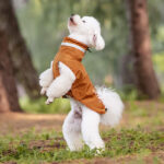 Dog Outdoor Windproof Rain Raincoat Puppy Reflective Pet Poncho - Image 2