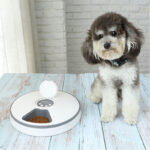 Feeding machine - Image 2