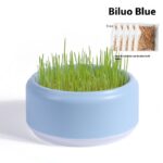 Potted Seeds Soilless Hydroponic Cat Grass - Image 6