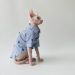 Thin Cotton Shirt Breathable Refreshing Sphinx Hairless Cat German - Image 3